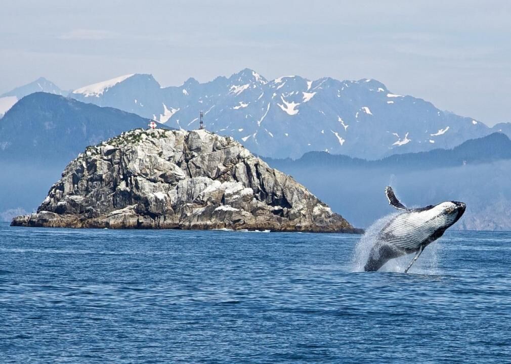 #39. Alaska